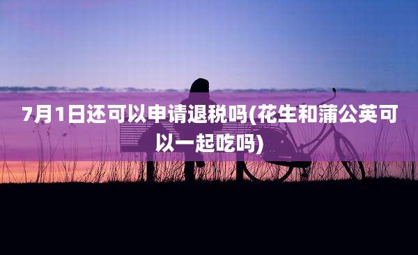 7月1日还可以申请退税吗(花生和蒲公英可以一起吃吗)