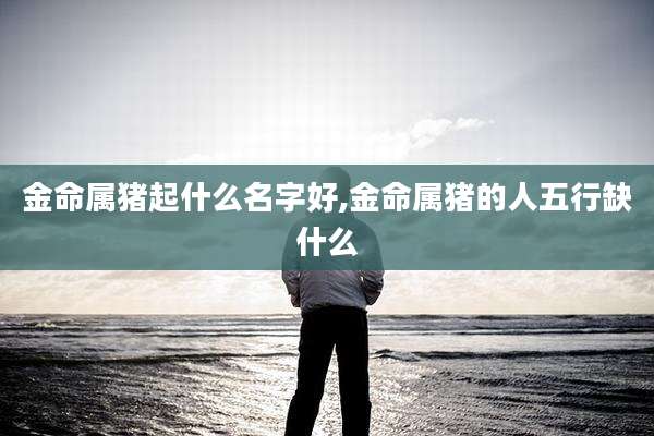 金命属猪起什么名字好,金命属猪的人五行缺什么