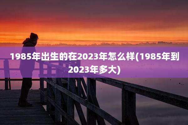 1985年出生的在2023年怎么样(1985年到2023年多大)