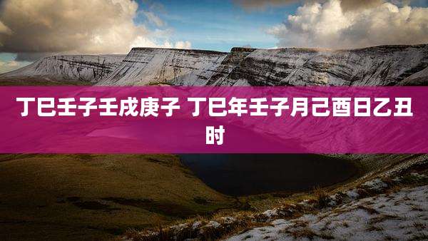 丁巳壬子壬戌庚子 丁巳年壬子月己酉日乙丑时