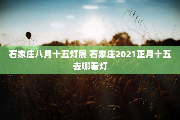 石家庄八月十五灯展 石家庄2021正月十五去哪看灯