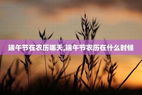 端午节在农历哪天,端午节农历在什么时候