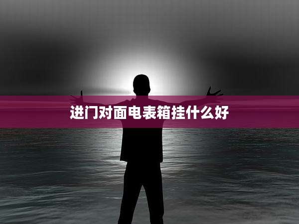 进门对面电表箱挂什么好