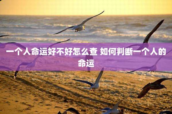 一个人命运好不好怎么查 如何判断一个人的命运