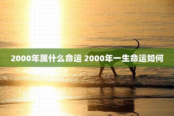 2000年属什么命运 2000年一生命运如何