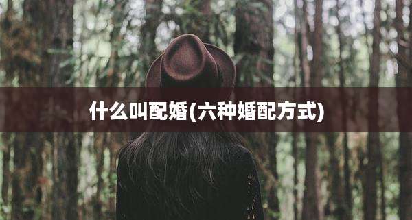 什么叫配婚(六种婚配方式)