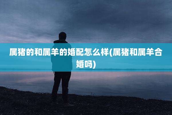 属猪的和属羊的婚配怎么样(属猪和属羊合婚吗)