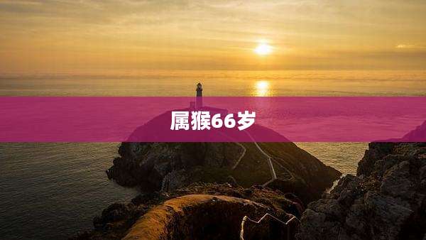 属猴66岁
