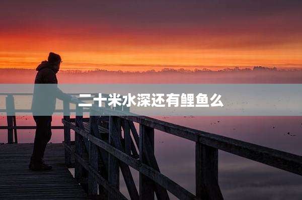 二十米水深还有鲤鱼么