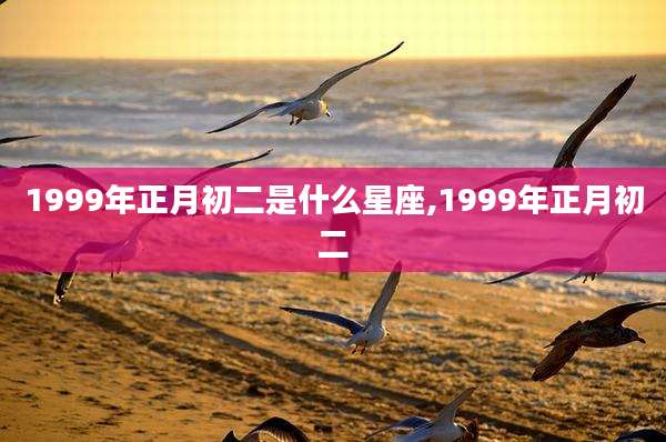 1999年正月初二是什么星座,1999年正月初二