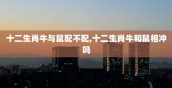 十二生肖牛与鼠配不配,十二生肖牛和鼠相冲吗