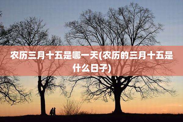 农历三月十五是哪一天(农历的三月十五是什么日子)