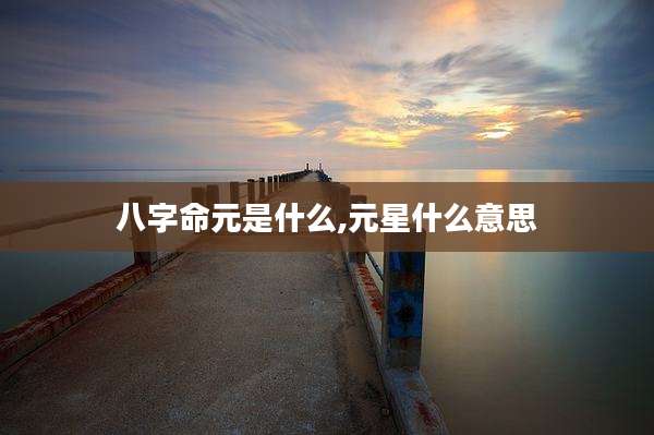 八字命元是什么,元星什么意思