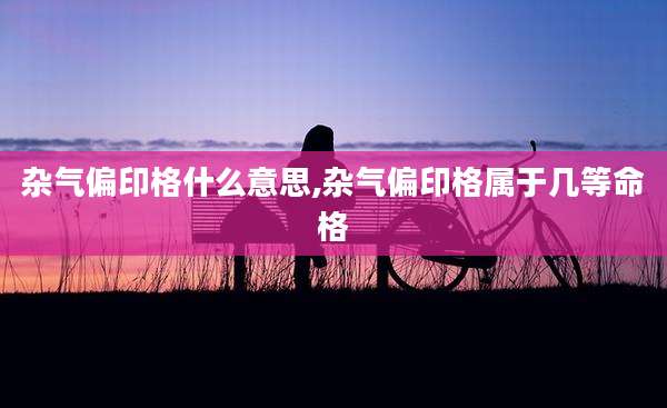 杂气偏印格什么意思,杂气偏印格属于几等命格