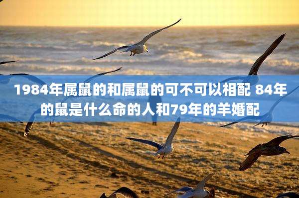 1984年属鼠的和属鼠的可不可以相配 84年的鼠是什么命的人和79年的羊婚配