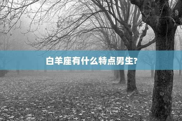 白羊座有什么特点男生?