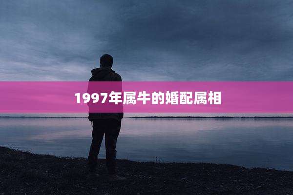1997年属牛的婚配属相