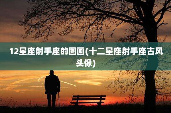 12星座射手座的图画(十二星座射手座古风头像)