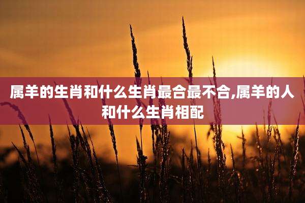 属羊的生肖和什么生肖最合最不合,属羊的人和什么生肖相配
