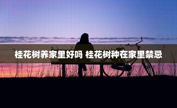 桂花树养家里好吗 桂花树种在家里禁忌