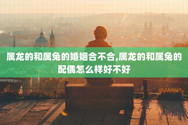 属龙的和属兔的婚姻合不合,属龙的和属兔的配偶怎么样好不好