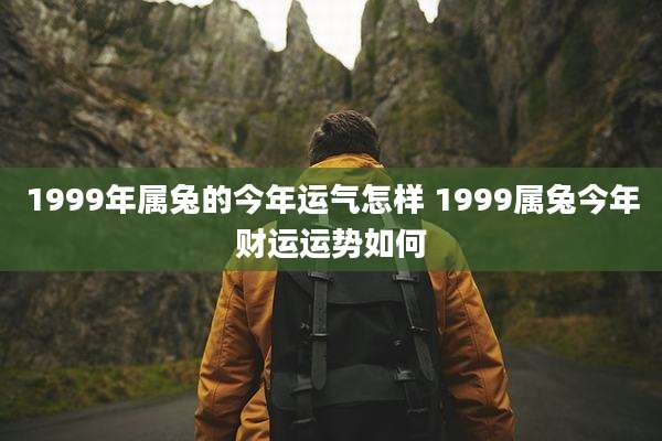 1999年属兔的今年运气怎样 1999属兔今年财运运势如何