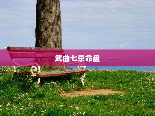 武曲七杀命盘