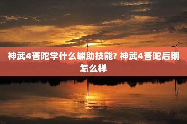 神武4普陀学什么辅助技能? 神武4普陀后期怎么样