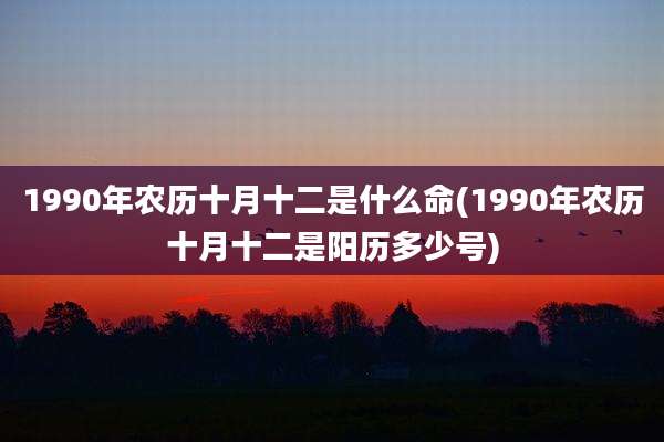 1990年农历十月十二是什么命(1990年农历十月十二是阳历多少号)