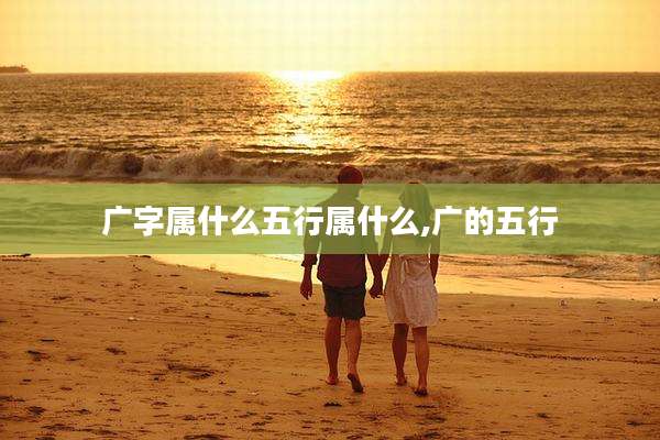 广字属什么五行属什么,广的五行