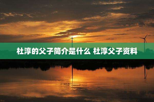 杜淳的父子简介是什么 杜淳父子资料