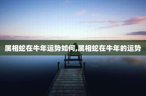 属相蛇在牛年运势如何,属相蛇在牛年的运势