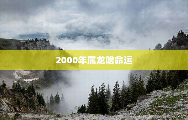 2000年属龙啥命运