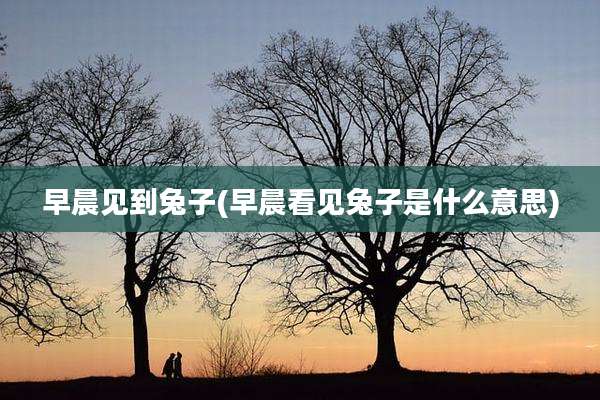 早晨见到兔子(早晨看见兔子是什么意思)