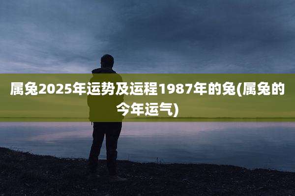 属兔2025年运势及运程1987年的兔(属兔的今年运气)