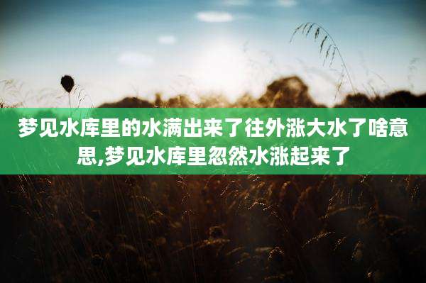 梦见水库里的水满出来了往外涨大水了啥意思,梦见水库里忽然水涨起来了