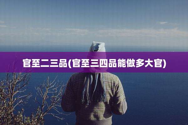 官至二三品(官至三四品能做多大官)