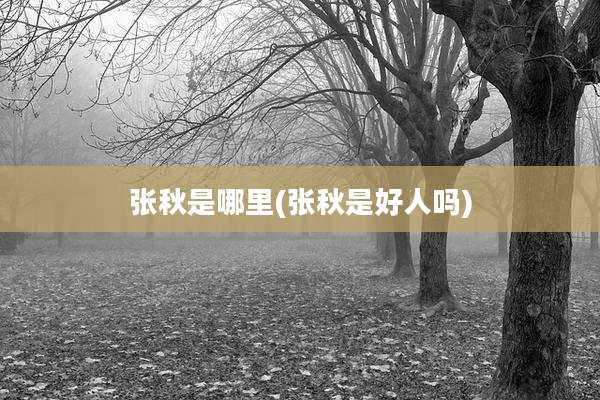 张秋是哪里(张秋是好人吗)