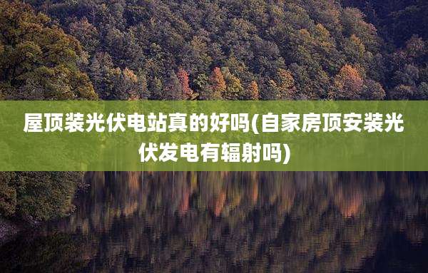 屋顶装光伏电站真的好吗(自家房顶安装光伏发电有辐射吗)