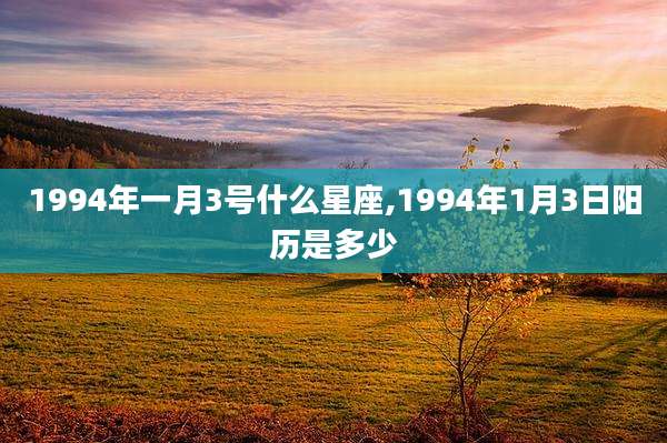 1994年一月3号什么星座,1994年1月3日阳历是多少