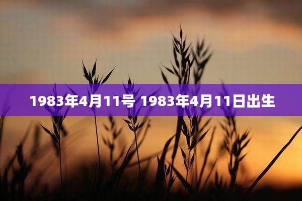 1983年4月11号 1983年4月11日出生