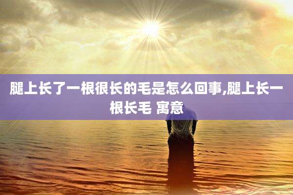 腿上长了一根很长的毛是怎么回事,腿上长一根长毛 寓意