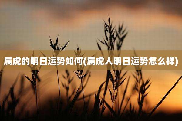 属虎的明日运势如何(属虎人明日运势怎么样)