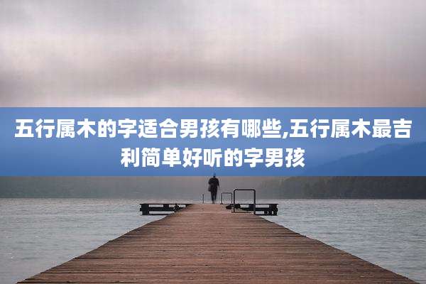 五行属木的字适合男孩有哪些,五行属木最吉利简单好听的字男孩