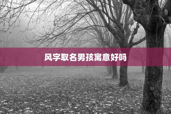 风字取名男孩寓意好吗