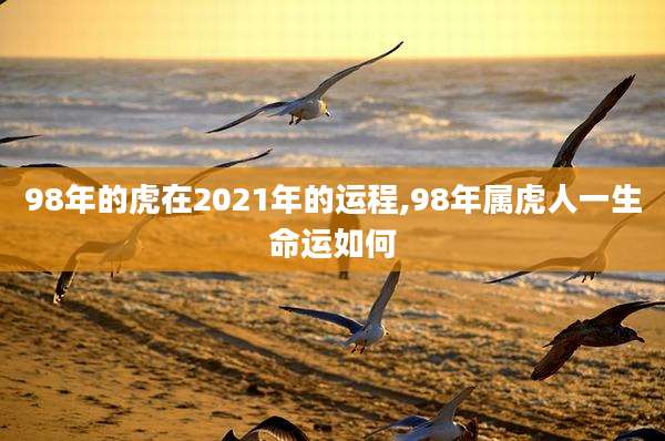 98年的虎在2021年的运程,98年属虎人一生命运如何