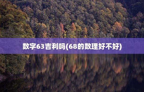 数字63吉利吗(68的数理好不好)