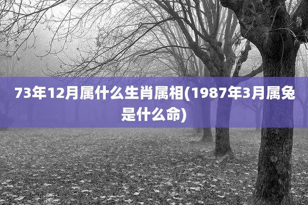73年12月属什么生肖属相(1987年3月属兔是什么命)