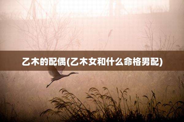 乙木的配偶(乙木女和什么命格男配)