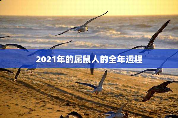 2021年的属鼠人的全年运程